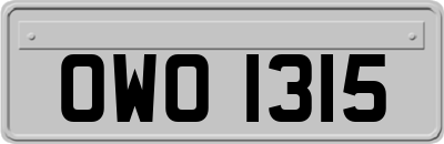 OWO1315