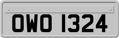 OWO1324