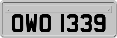 OWO1339