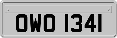 OWO1341