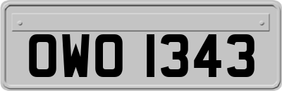 OWO1343