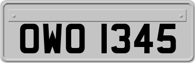 OWO1345