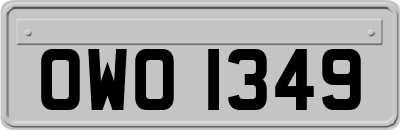 OWO1349