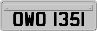 OWO1351
