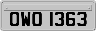 OWO1363