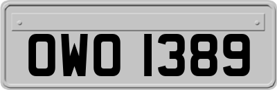 OWO1389