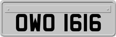 OWO1616