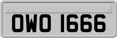 OWO1666