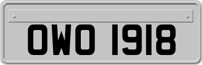 OWO1918