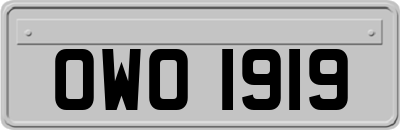 OWO1919