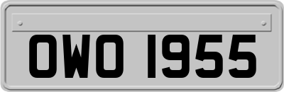 OWO1955