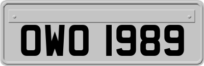 OWO1989