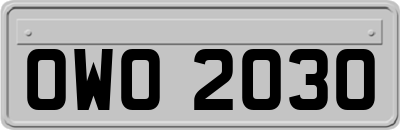OWO2030