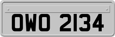 OWO2134