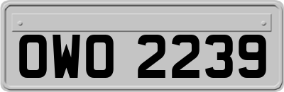OWO2239