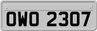 OWO2307