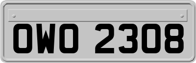 OWO2308