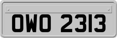 OWO2313