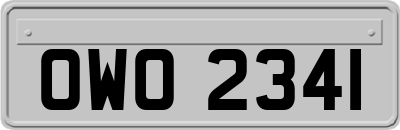 OWO2341