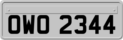 OWO2344