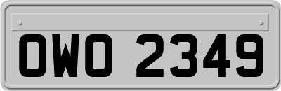 OWO2349