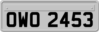 OWO2453