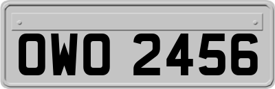 OWO2456