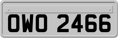 OWO2466