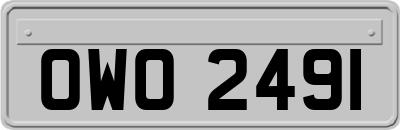 OWO2491