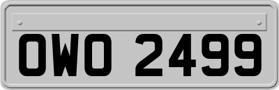 OWO2499