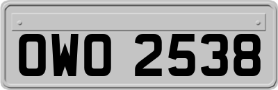 OWO2538