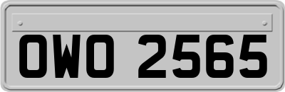 OWO2565