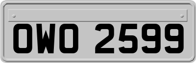 OWO2599