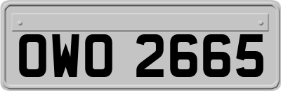 OWO2665