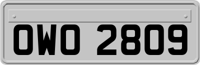 OWO2809