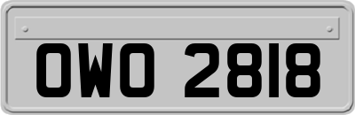 OWO2818