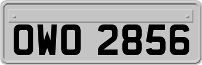 OWO2856