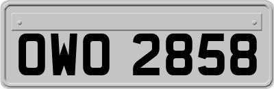 OWO2858