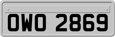 OWO2869