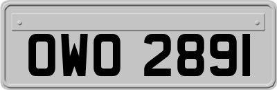OWO2891
