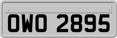 OWO2895