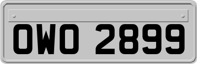 OWO2899