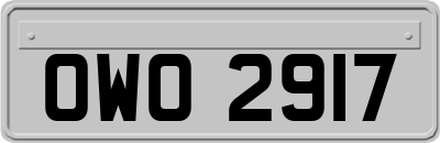 OWO2917