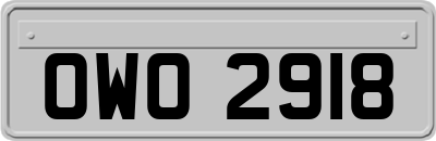 OWO2918