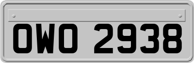 OWO2938
