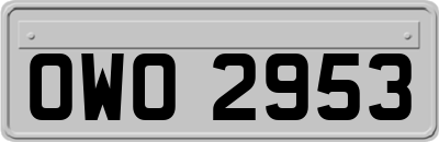OWO2953