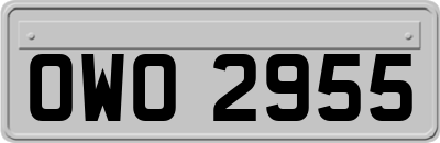 OWO2955