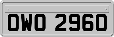 OWO2960