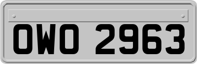OWO2963