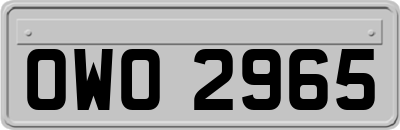 OWO2965